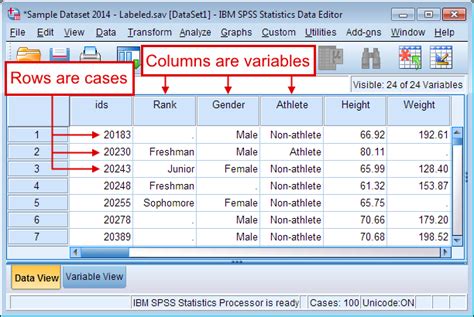 SPSS 2025 No Survey Download
