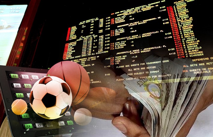 Discover the Excitement of Moyo Bet Discover the Excitement of Moyo Bet
